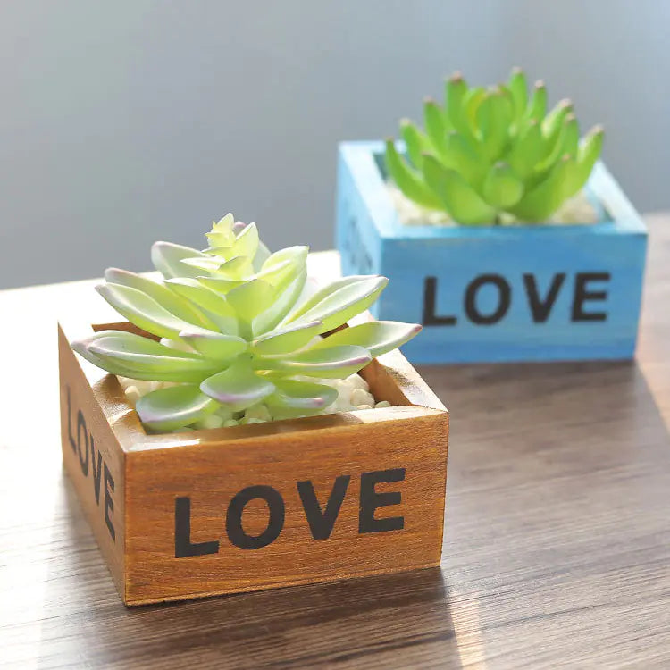 Succulent Planter Wooden Box