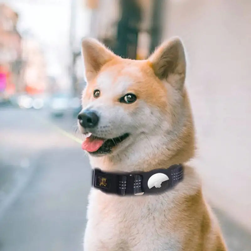 Collar with built in pocket for tracking device