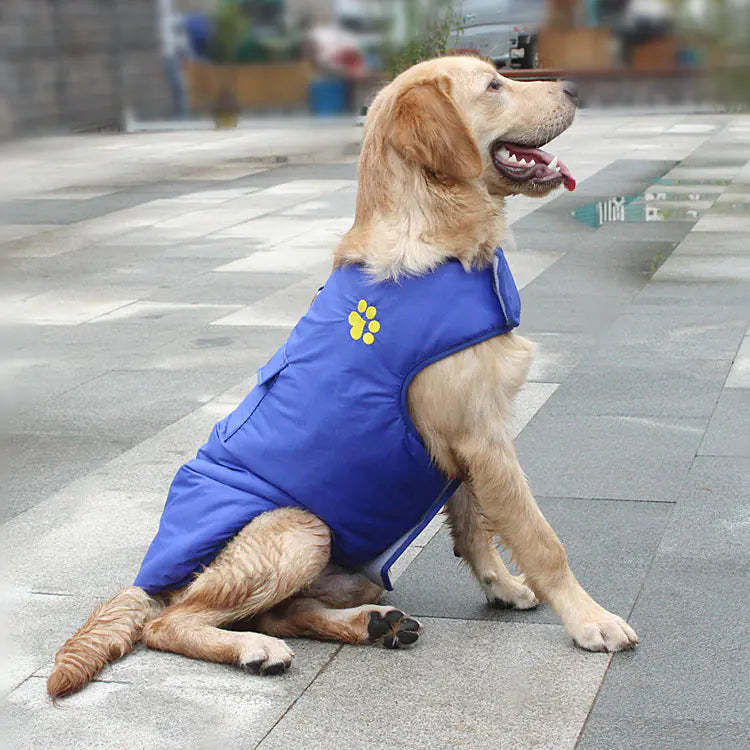 Warm Waterproof Dog Jacket for Small to Large Dogs