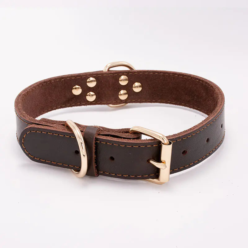 Dog Collar-leather