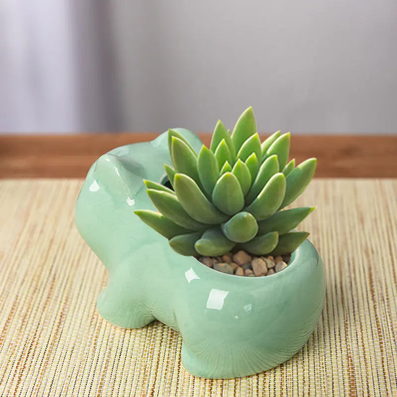 Creative Cartoon Animal Ceramic Succulent Planters