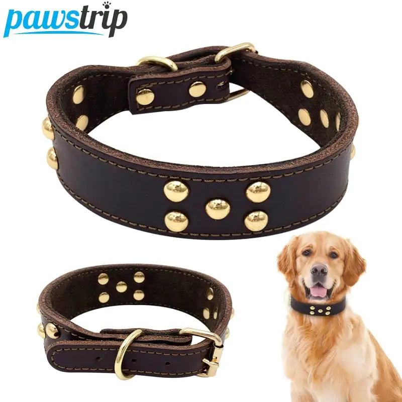 Dog Collar-leather