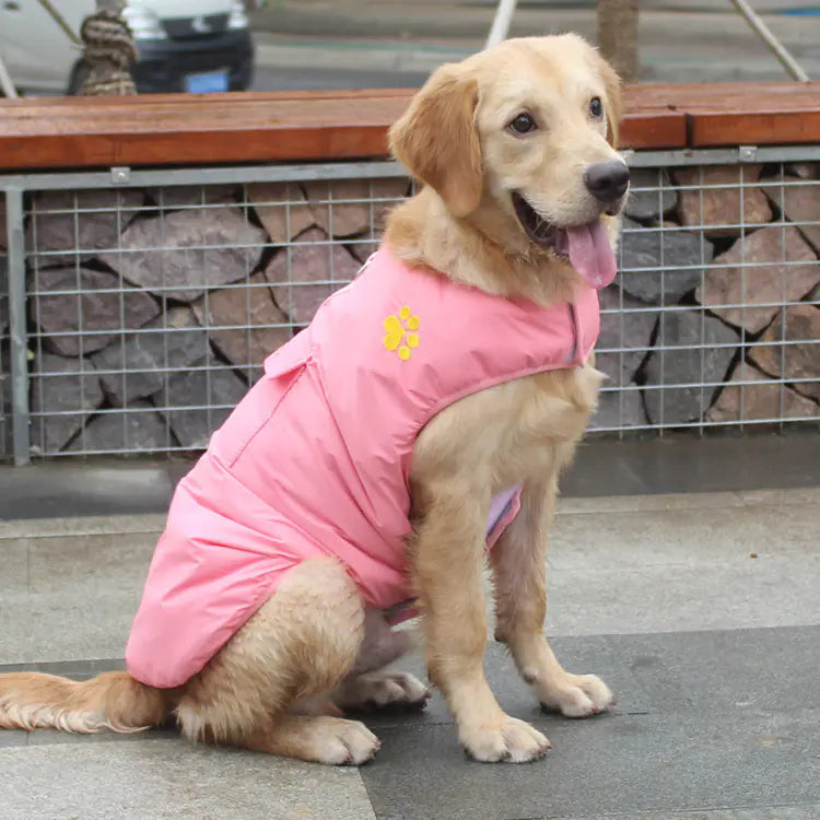 Pet Supplies