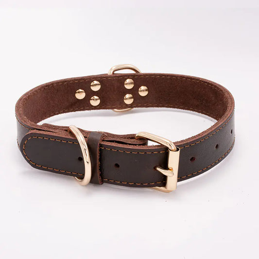 Dog Collar-leather