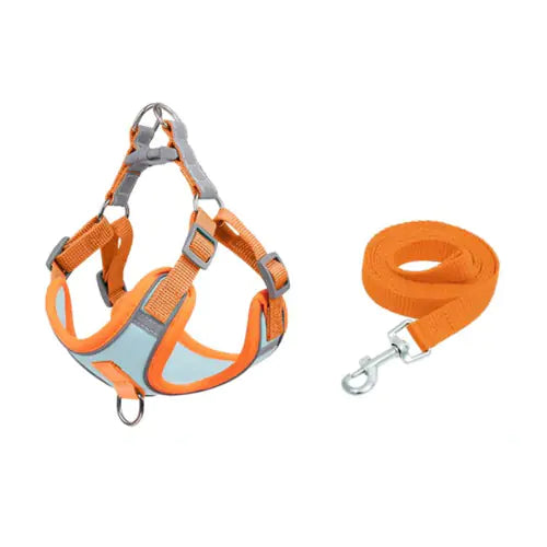 Reflective Anti-Breakaway Harness and Leash Set