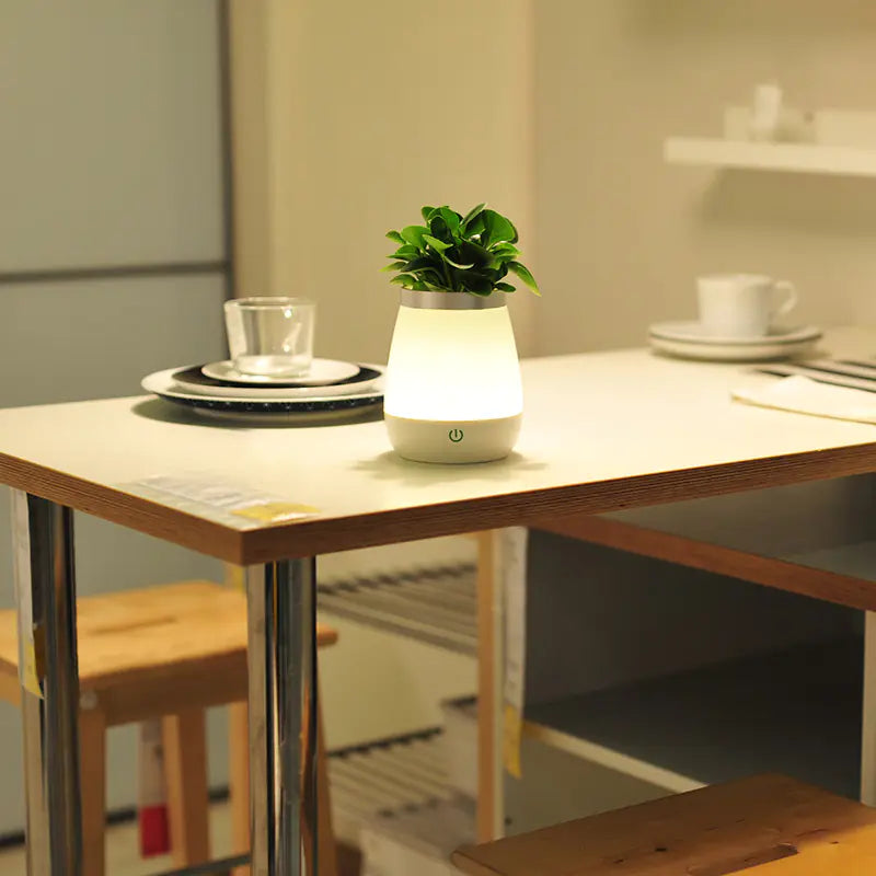 Vase Night Light