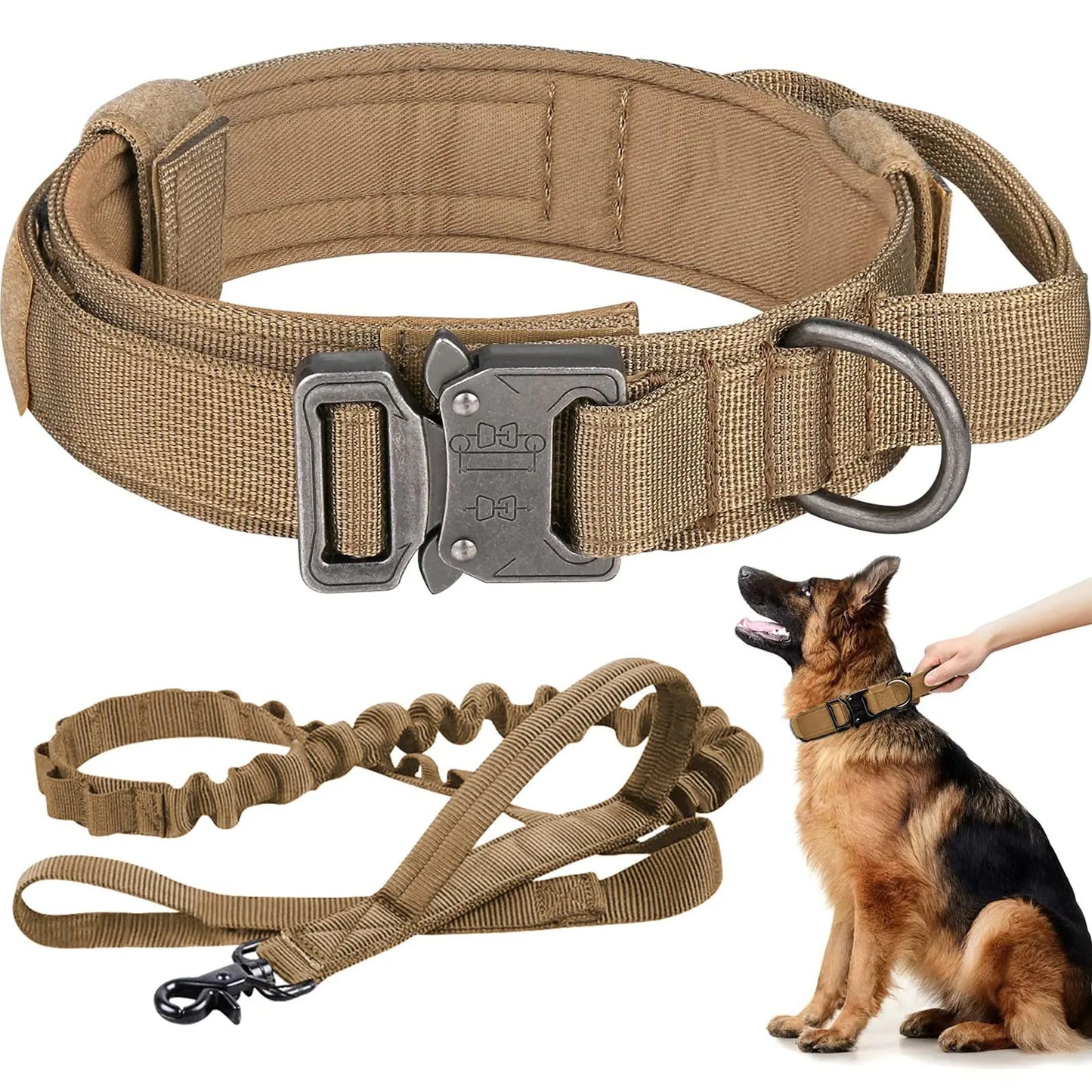 Heavy Duty Dog Collar and Leash