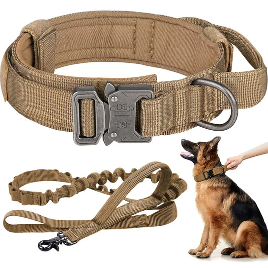Heavy Duty Dog Collar and Leash