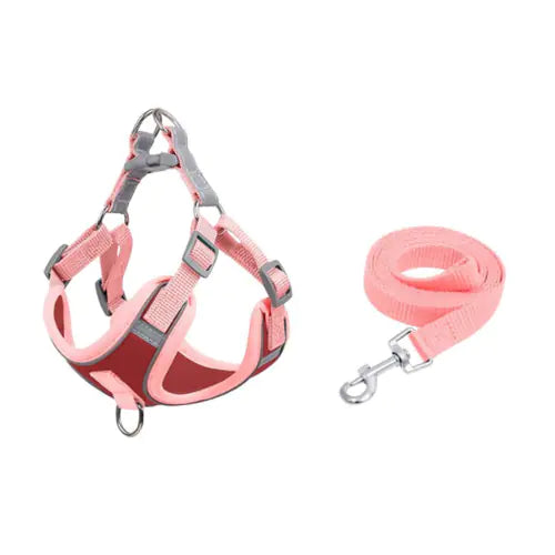 Reflective Anti-Breakaway Harness and Leash Set