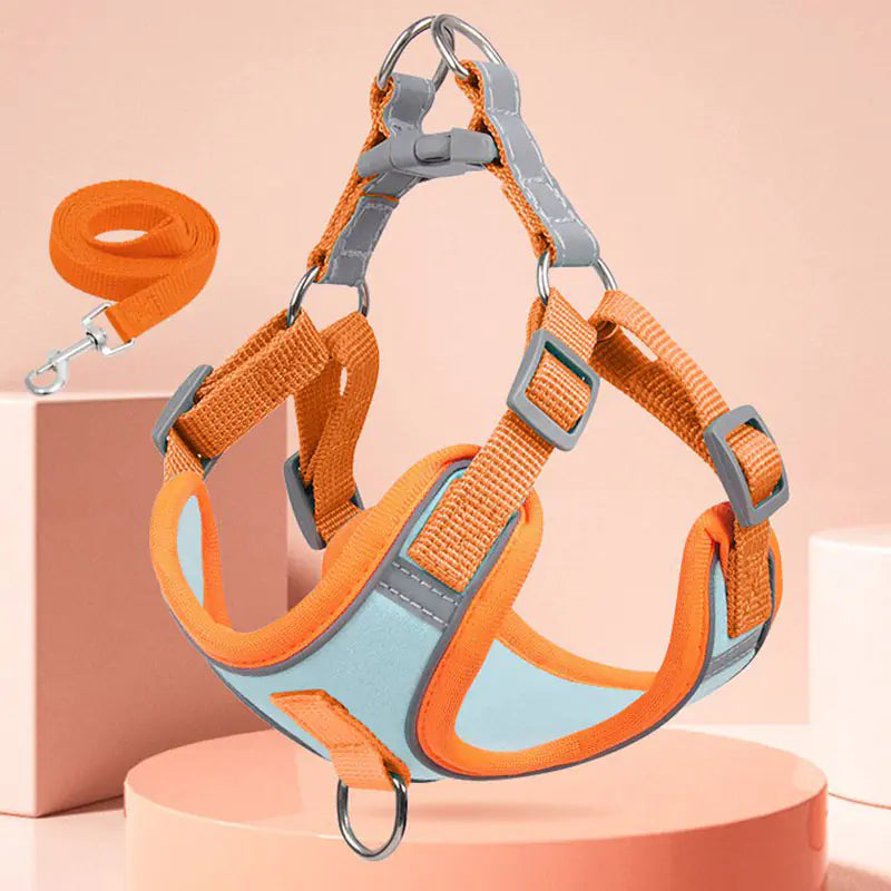 Reflective Anti-Breakaway Harness and Leash Set